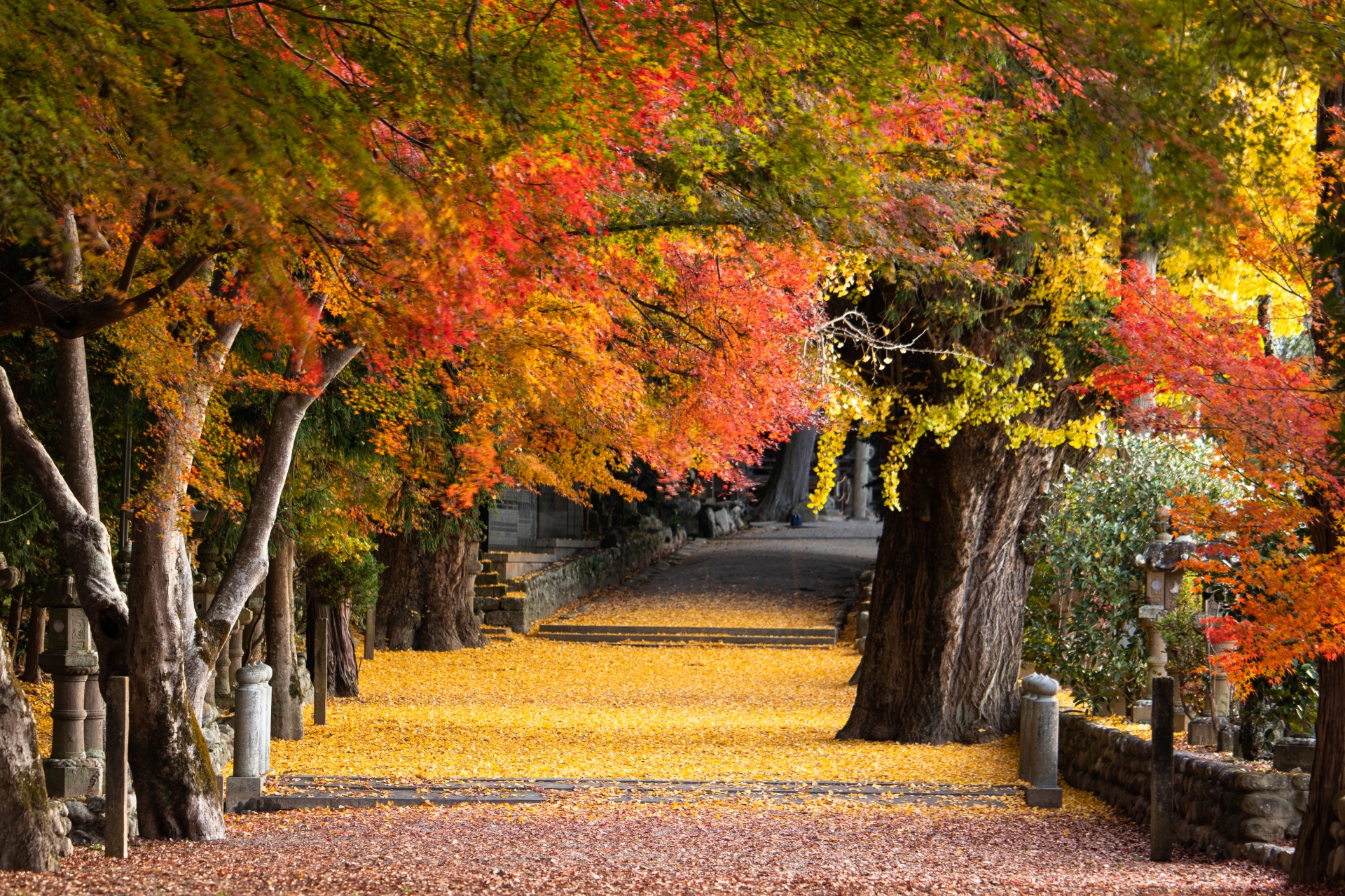 【2025年最新】三重県の紅葉スポット12選【まとめ】